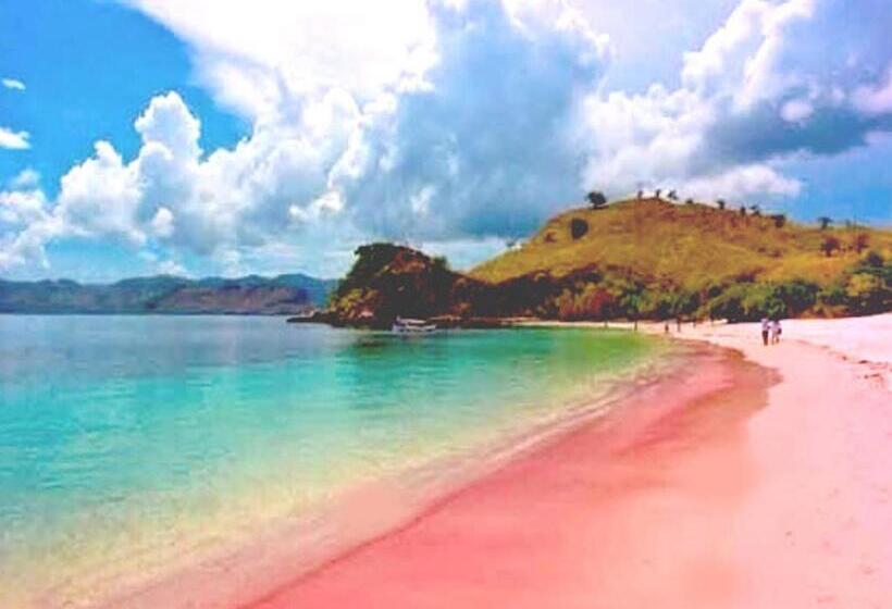 هتل Villa De Owis