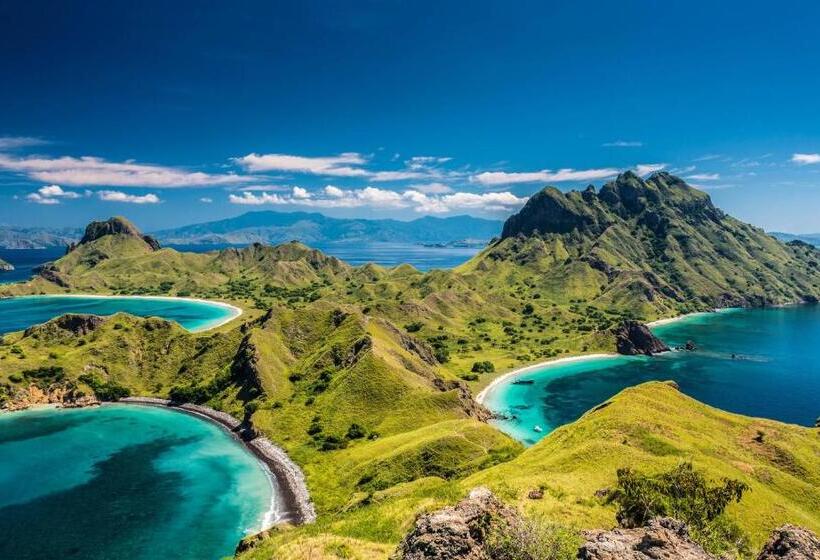 هتل Villa De Owis