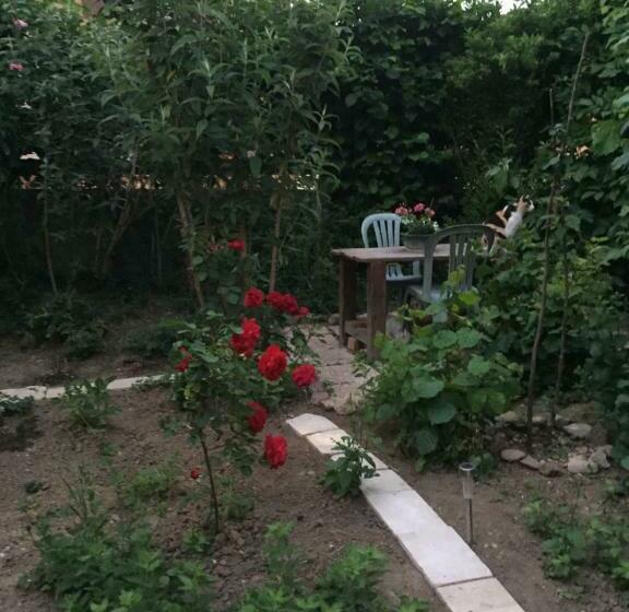 住宿加早餐  Chambre Spacieuse Dans Joli Village Alsacien