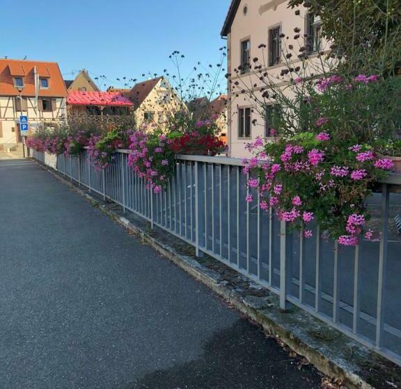 تختخواب و صبحانه Chambre Spacieuse Dans Joli Village Alsacien