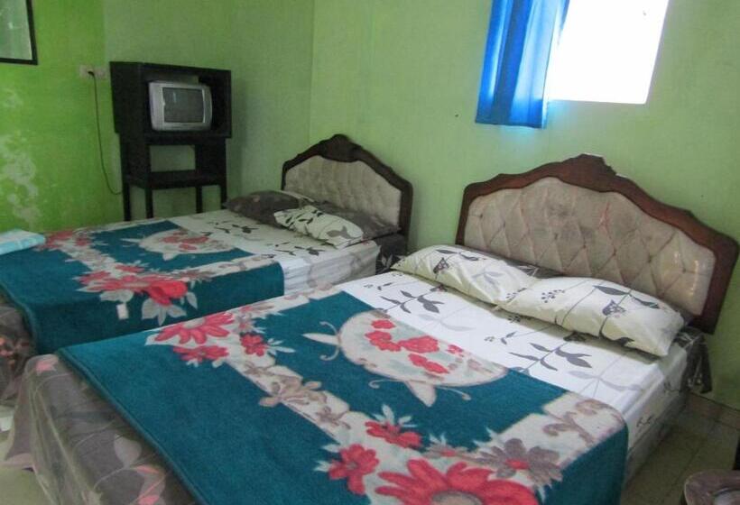 ホテル Penginapan Melati Sarangan