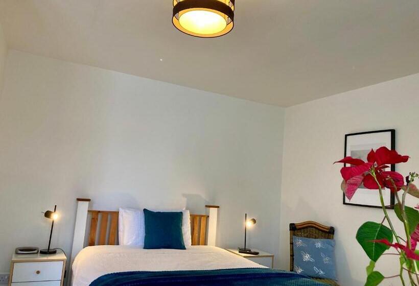 پانسیون Jersey Villa Guest House