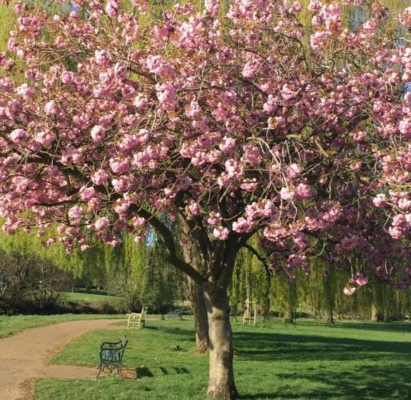 پانسیون Jersey Villa Guest House