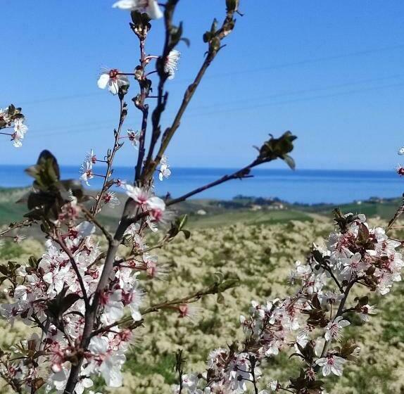 B&b Gli Amici Del Tubarello