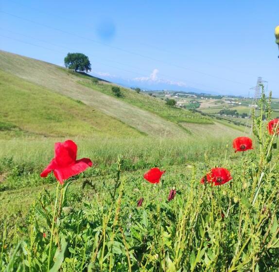 B&b Gli Amici Del Tubarello