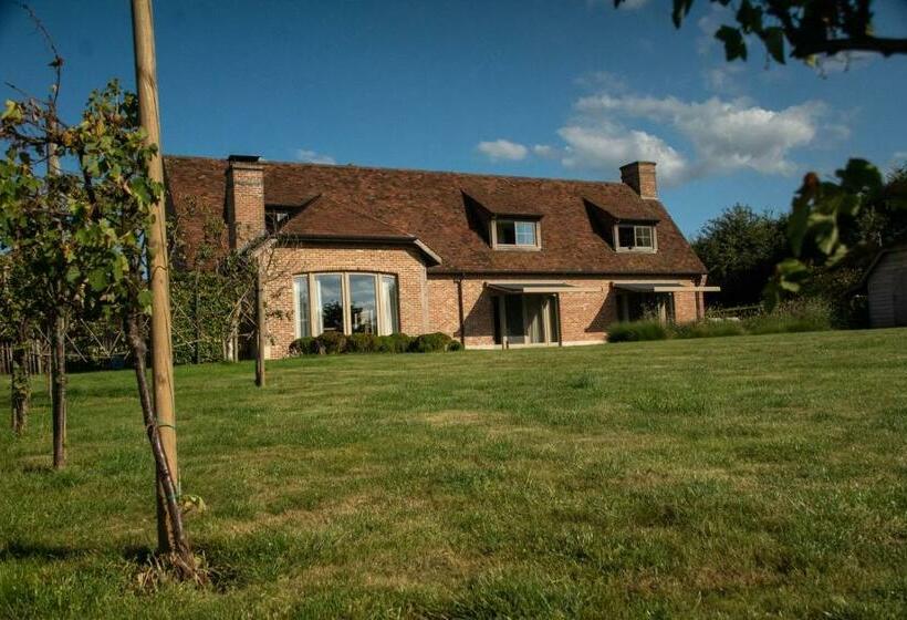 B&b Sett