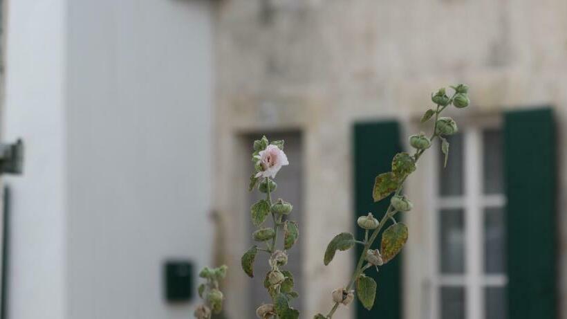 پانسیون La Martinoise Patio