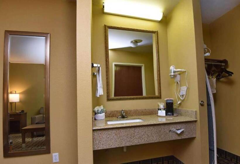 בית מלון כפרי Best Western Zachary Inn