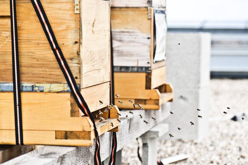 Fotos del hotel Daniel Vienna:  15