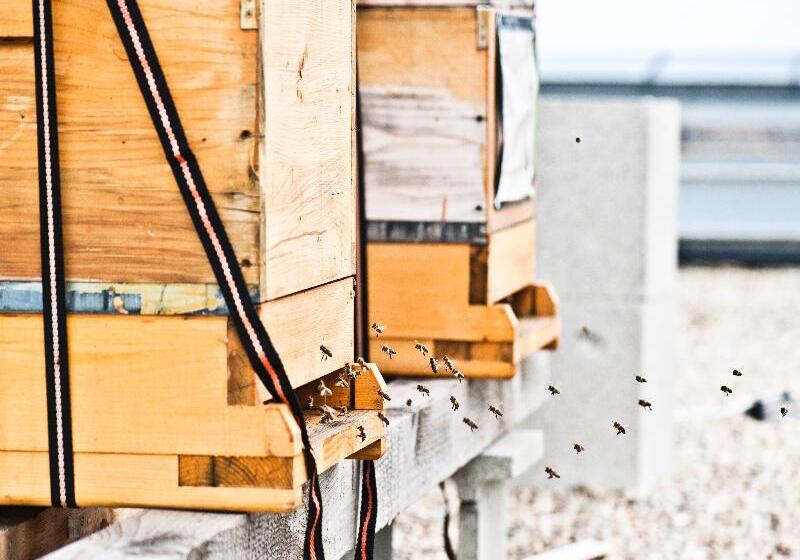 Fotos del hotel Daniel Vienna:  47