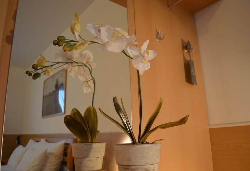 Fotos del hotel Donaustadt Kagran:  61