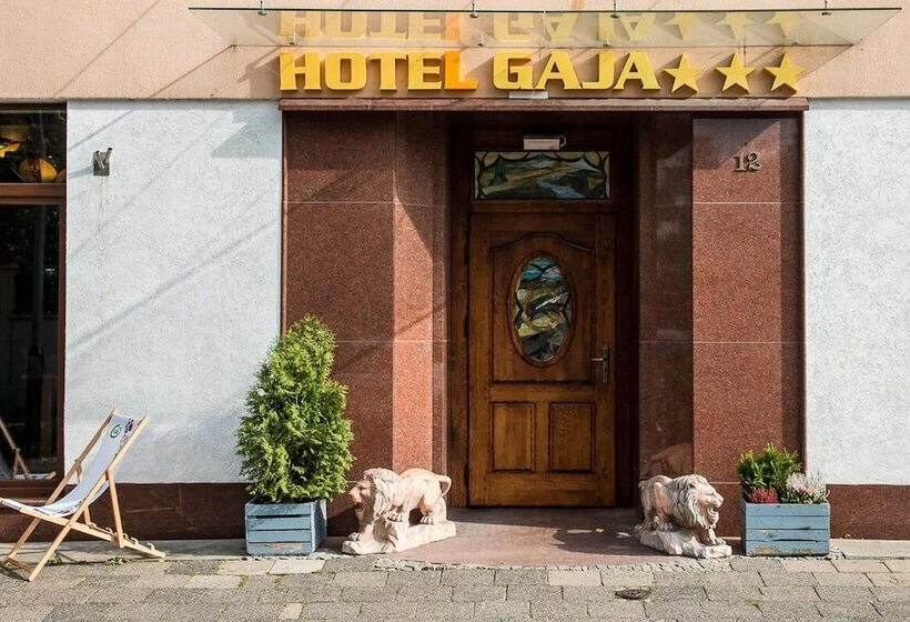 Fotos del hotel Gaja:  13