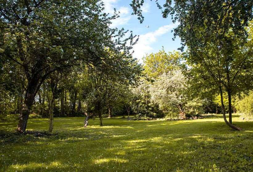 酒店 Hilton London Heathrow Airport Terminal 5