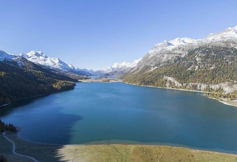 هتل Nira Alpina