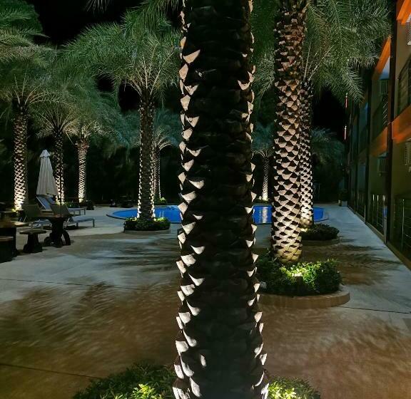 Apartments Mbc