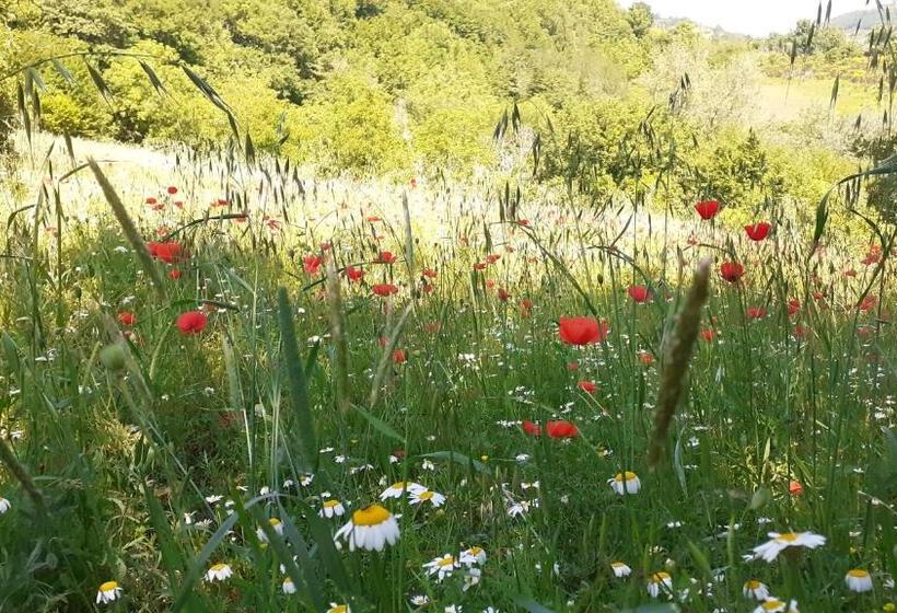 호텔 Agriturismo Marcofrate, A Retreat In The Nature