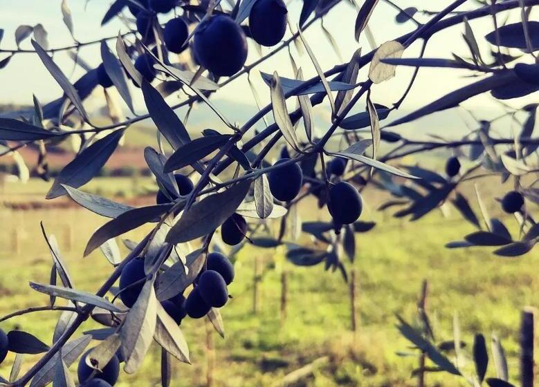 فندق Monfrà   Ospitalità Rurale, Vigneti E Cantina