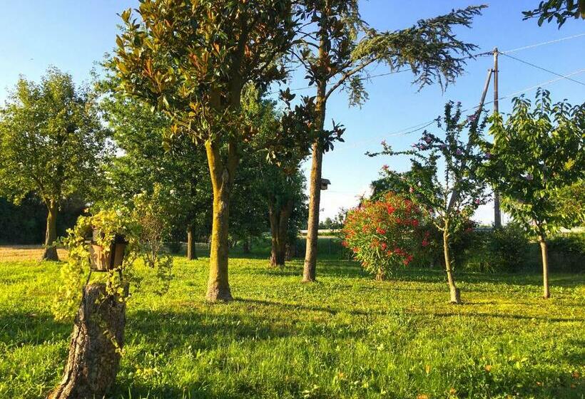 פנסיון Ca  Rosin Meolo   Camera Tra Relax E Privacy