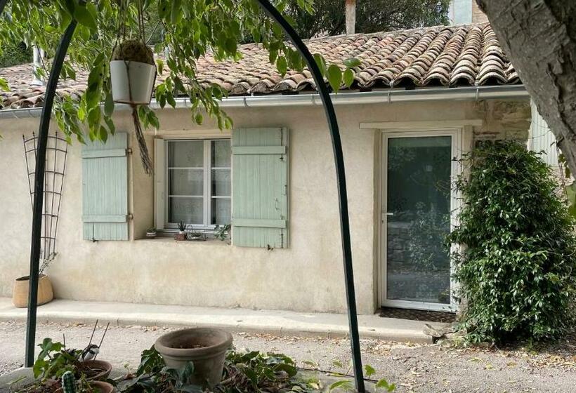 پانسیون Joli Mazet à Nîmes Idéalement Situé Entre La Garrigue Et La Ville
