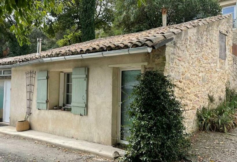 پانسیون Joli Mazet à Nîmes Idéalement Situé Entre La Garrigue Et La Ville