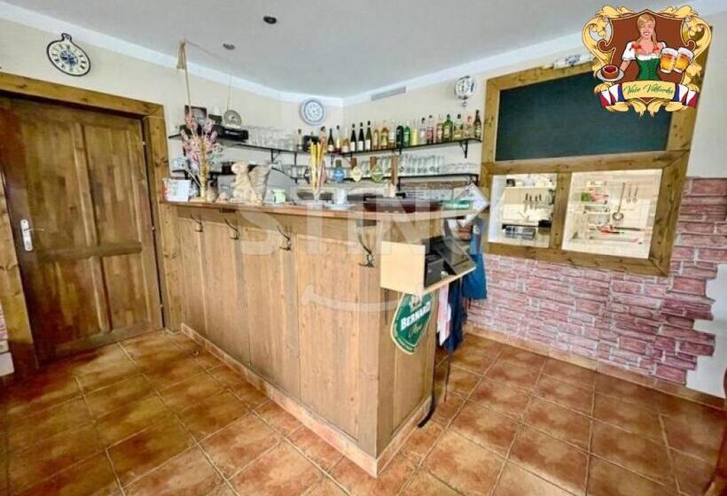 پانسیون Krkonošská Chata Viktorka