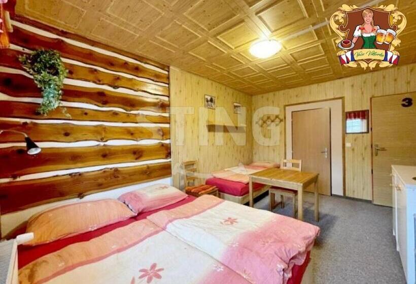 پانسیون Krkonošská Chata Viktorka