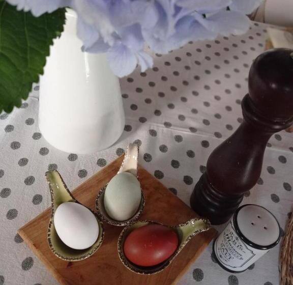پانسیون Olioealloro B&b