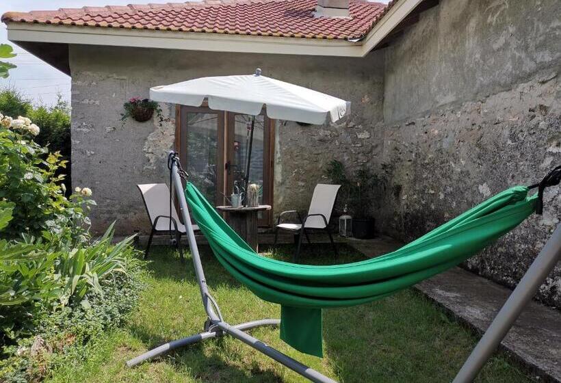 호스텔 House Albena