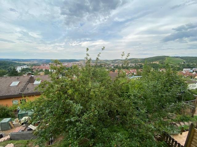 بنسيون Monteurswohnung Zimmerfrei Marktheidenfeld