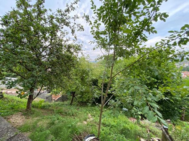 بنسيون Monteurswohnung Zimmerfrei Marktheidenfeld