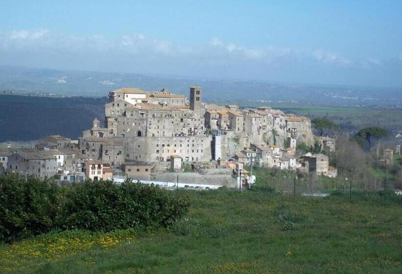 B&b Il Grifo