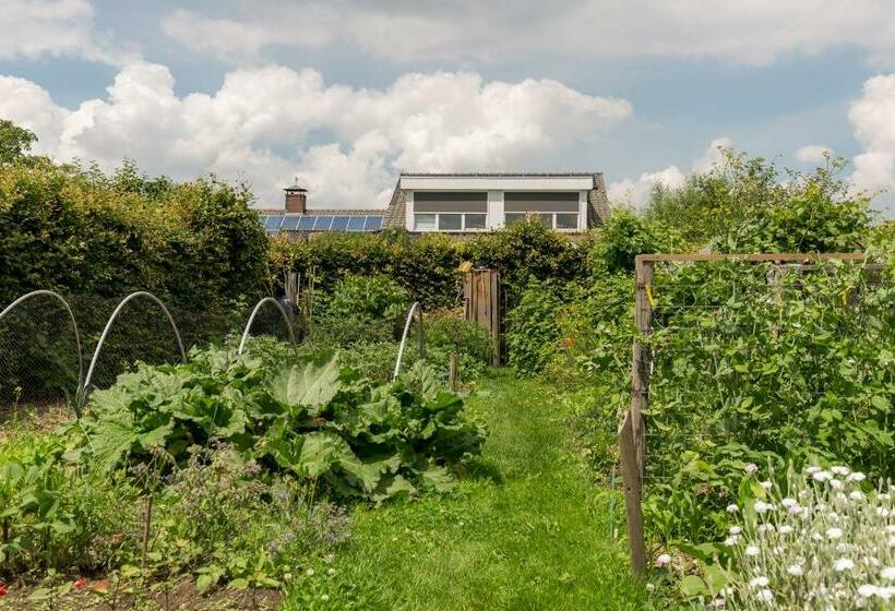 Bed and Breakfast De Nieuwe Warande