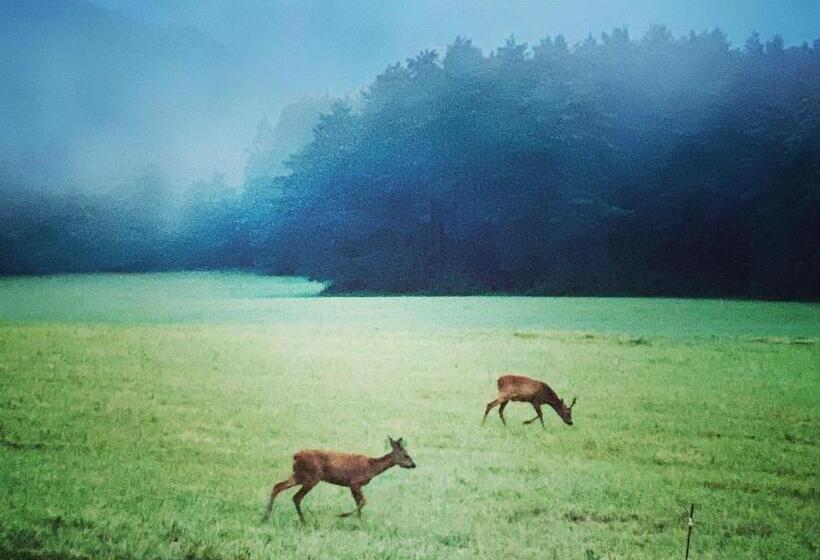 住宿加早餐  Domaine De Cazal   Chambres D Hôtes Avec Piscine Au Cœur De 26 Hectares De Nature Préservée