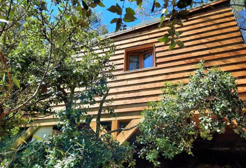 ペンション Cabane Dans Les Arbres La Kaz Aux Cigales