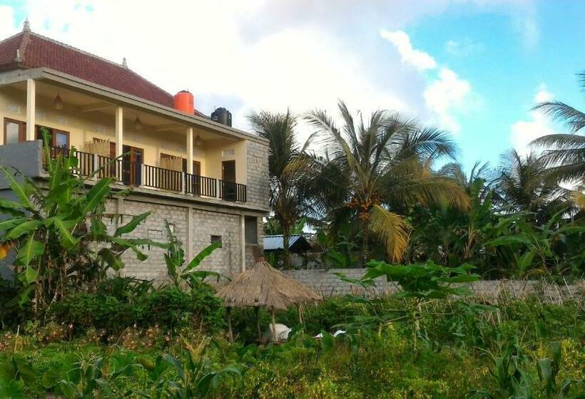 Pension Mantra Guesthouse