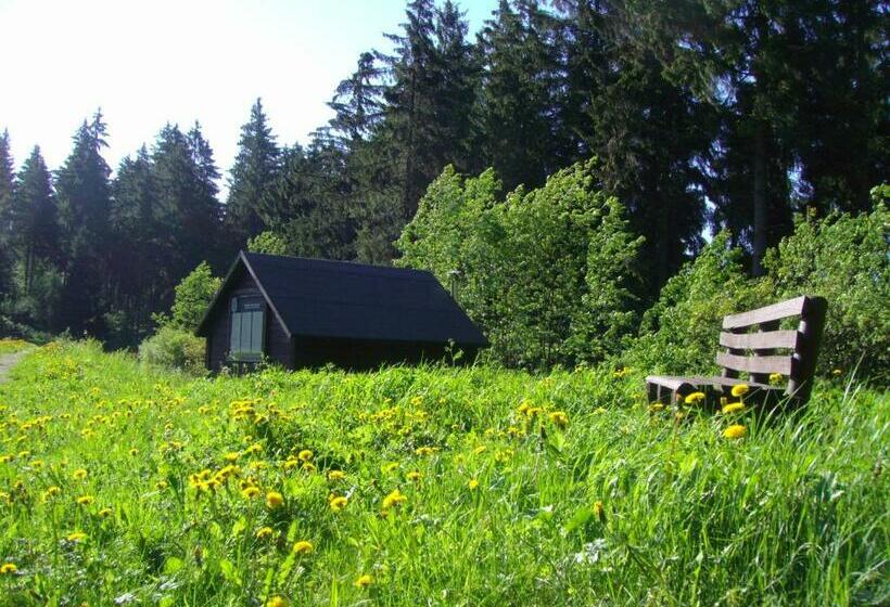 فندق صغير Flambacher Mühle