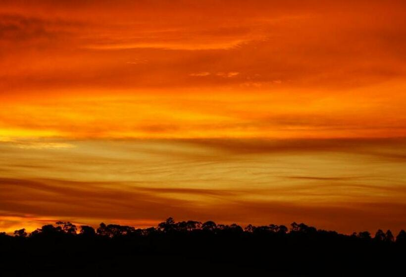 مبيت وإفطار La Dolce Vita