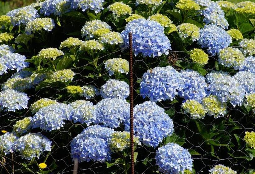 مبيت وإفطار La Dolce Vita