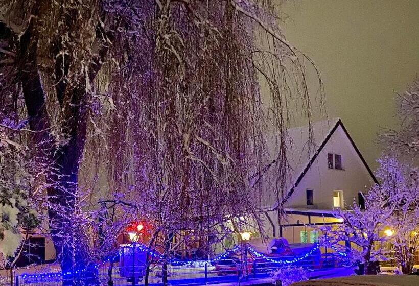 مُتل Riedwirtshaus