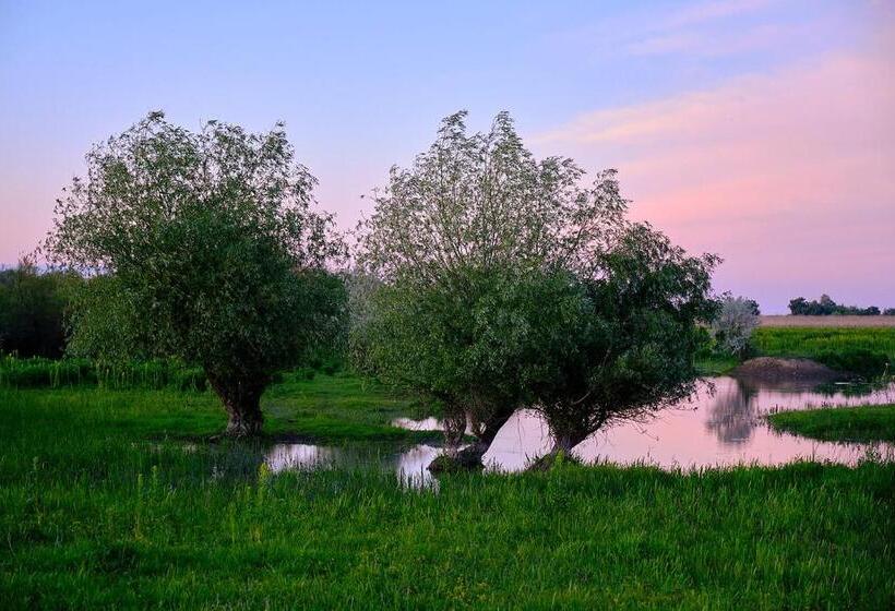 بنسيون Dumbrava