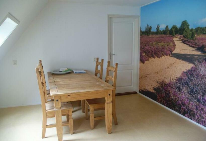 B&b D Olle Saks
