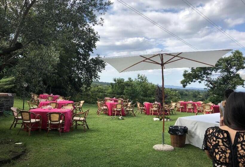 ベッドアンドブレックファースト Villa Di Charme Con Piscina E Jacuzzi Tra Roma E Viterbo