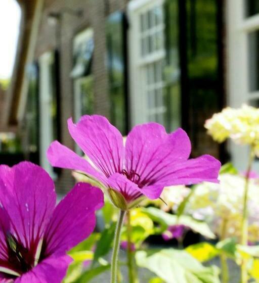 Bed & Breakfast De Oude Heerd