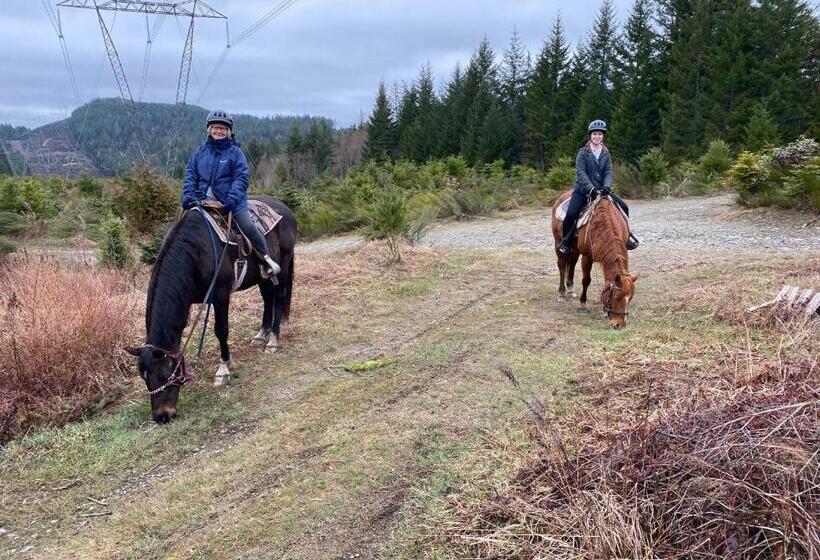 פנסיון Maple Heart Ranch