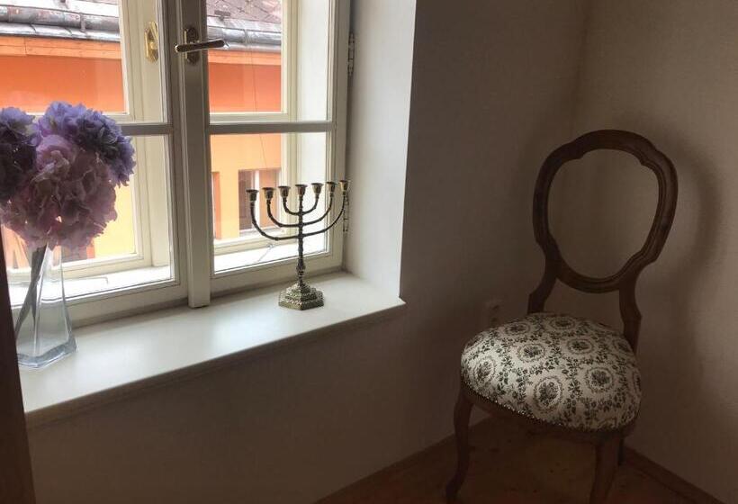 פנסיון Penzion U Synagogy