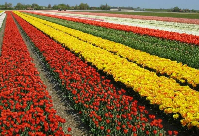 بنسيون Prins Heerlijk