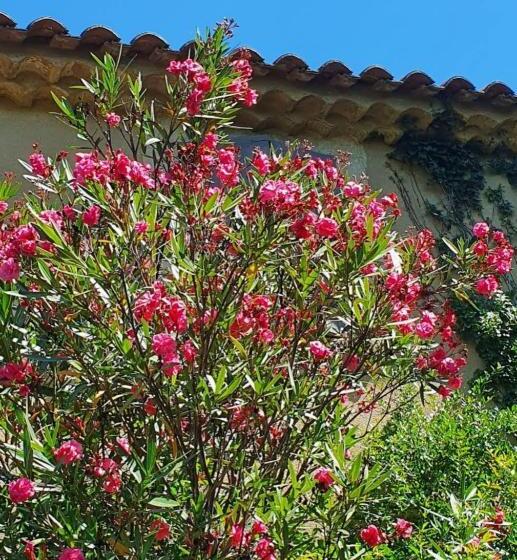 Bed and Breakfast Aux Berges Du Pont Du Gard