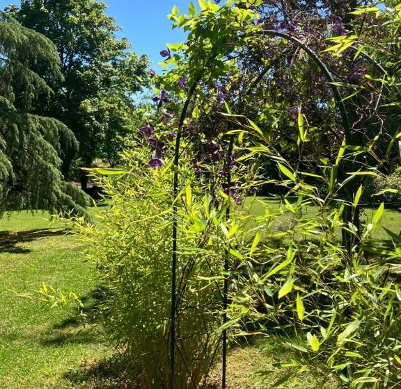 Bed and Breakfast Le Clos De Quintaine Chambres D Hôtes