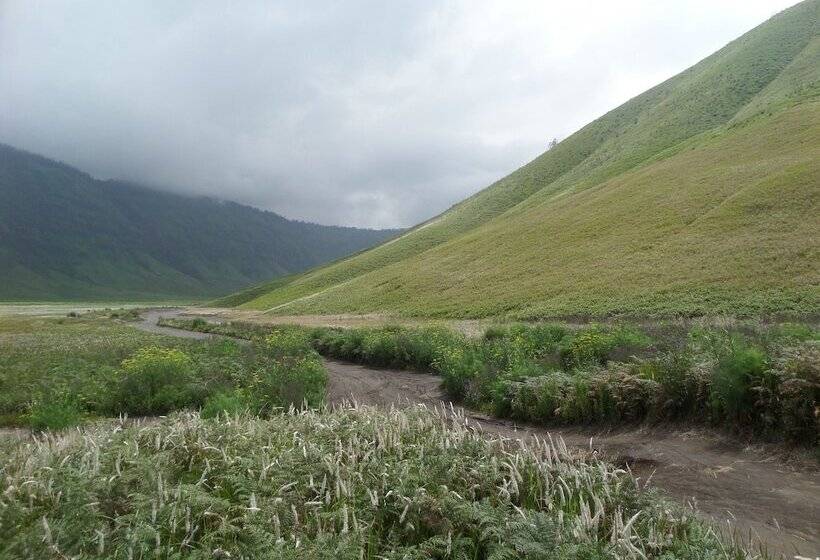 Отель Fredelia Homestay