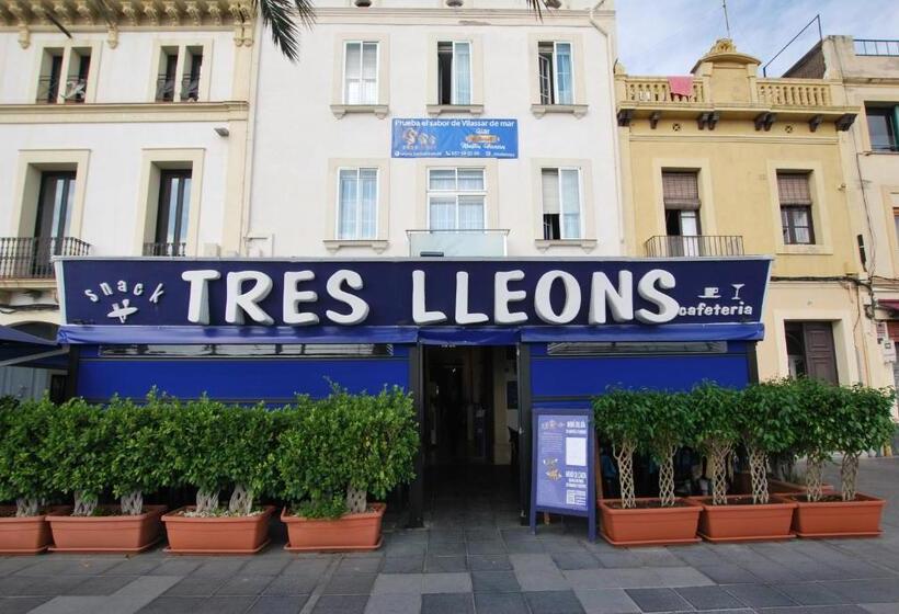 هتل Tres Leones